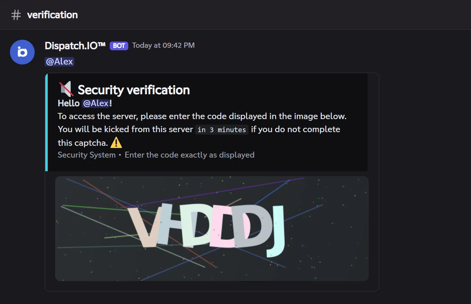 Captcha message: image of the code to type, member mention and delay