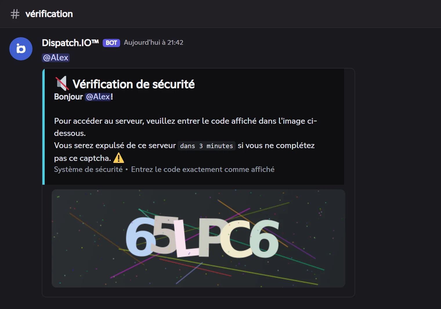 Message du captcha : image du code à taper, mention du membre et délai